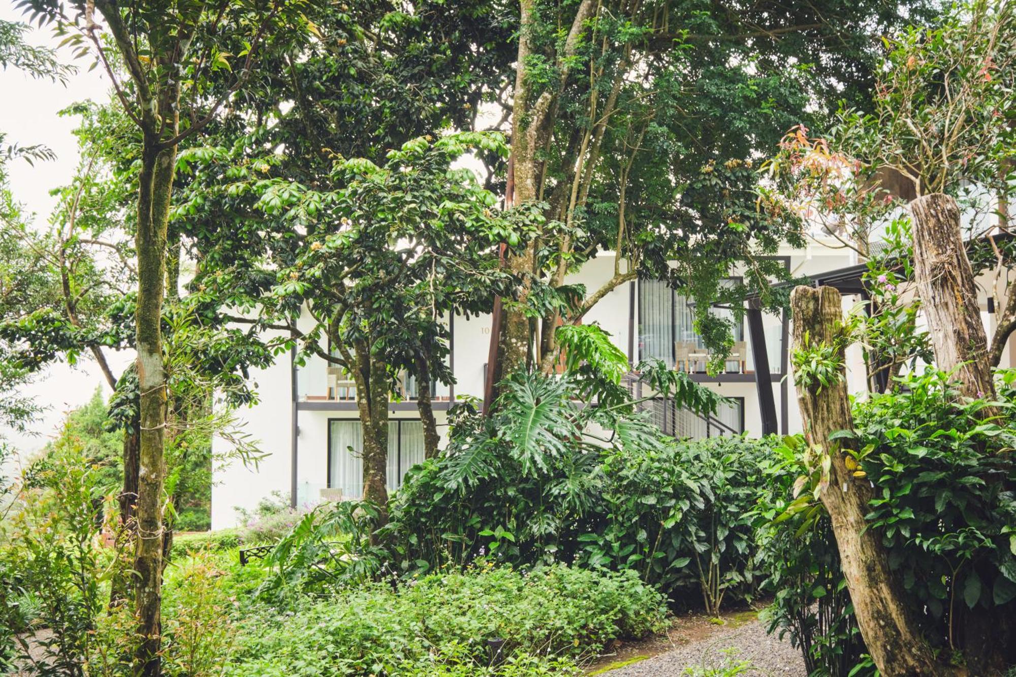 Ocotea Boutique Hotel Monteverde Exterior photo